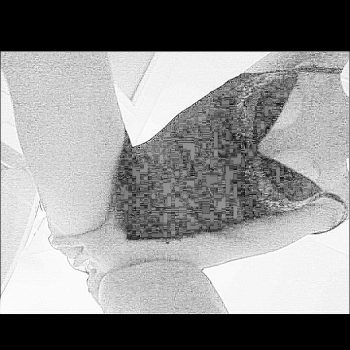 Aloha - Uetliburg SG - Saint-Gall | Rencontre Discrète