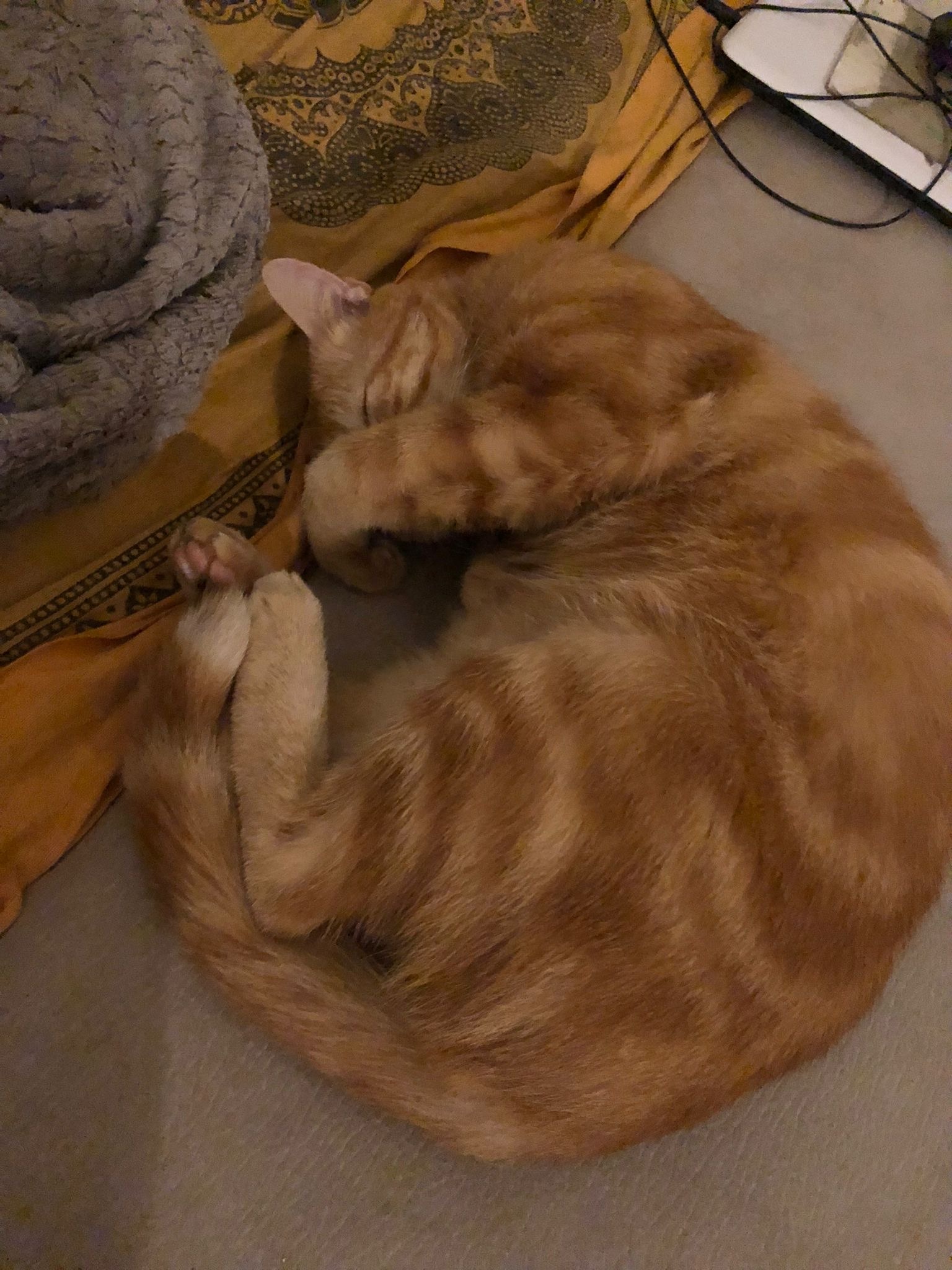 Yigit - Mandach - Argovie | Rencontre Discrète