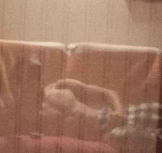 Efisio - Hermance - Genève | Rencontre Discrète