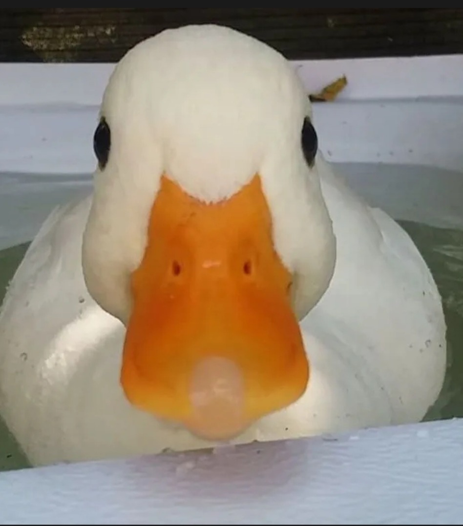 Piotr - Rufi - Saint-Gall | Rencontre Discrète